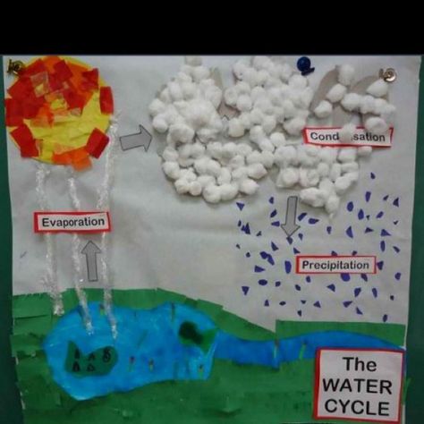 Water Cycle Craft, Water Cycle Project, Science Experience, Second Grade Science, The Water Cycle, Kid Science, 1st Grade Science, First Grade Science, 4th Grade Science