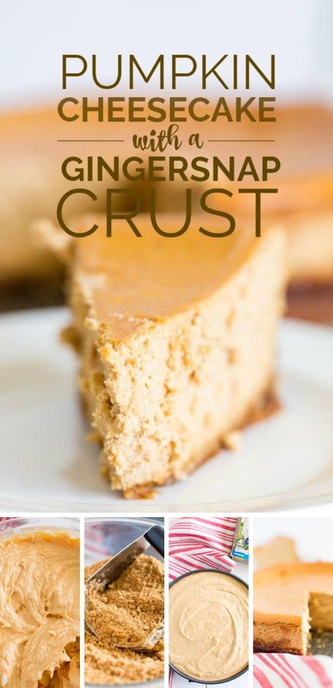 Pumpkin Cheesecake Gingersnap Crust, Fall Dessert Recipes Pumpkin, Pumpkin Cheesecake With Gingersnap Crust, Gingersnap Crust Recipes, Cheesecake With Gingersnap Crust, Easy Pumpkin Cheesecake, Yummy Cheesecake, Pumpkin Cheesecake Bars, Gingersnap Crust