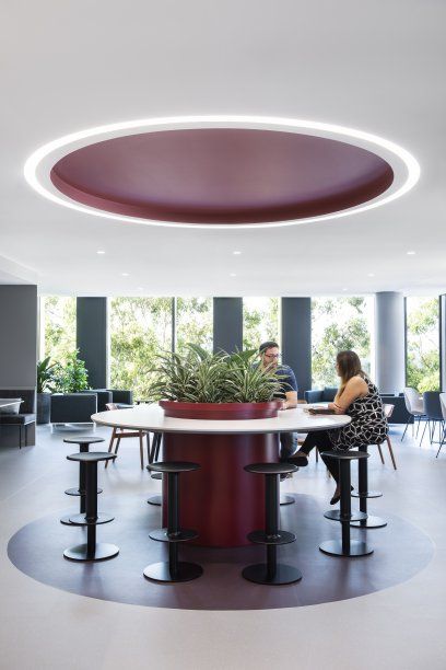 Workplace design in Sydney | Herbert Smith Freehills Purple Office, Office Ceiling, Office Fit Out, 카페 인테리어 디자인, Collaboration Space, Open Office, Workplace Design, New Office, Corporate Office