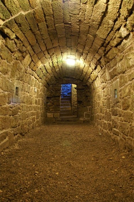 castle secret passageways | Underground secret passage. Hidden Door Design, Secret Door Ideas, Door Remodel, Underground Living, Secret Passage, Hidden Doors, Secret Passages, Secret Passageways, Hidden Spaces