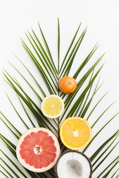 Free photo top view of delicious fruits ... | Free Photo #Freepik #freephoto #food-flatlay #healthy-nutrition #nutrition-food #nutrition Character Design Tutorial, Delicious Fruit, Top View, Design Tutorials, Free Photo, Free Photos, Nutrition, Character Design, Stock Photos