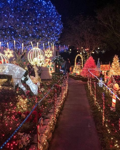 The Garden Grove Christmas lights are some of the best in Central Florida. For more tips about what to see and do at Christmas in Orlando, check out this guide by a local.  #orlando #florida #christmas #floridatravel | Christmas in Orlando | Orlando things to do in | Christmas events Orlando | Orlando vacation tips | Disney travel tips | things to do in Orlando with kids | family vacation Florida | free things to do in Orlando | Orlando Florida secrets | Orlando Florida winter Christmas In Orlando Florida, Florida Winter Aesthetic, Things To Do In Christmas, Orlando With Kids, Christmas In Florida, Christmas Florida, Orlando Christmas, Christmas Travel Destinations, Florida Winter