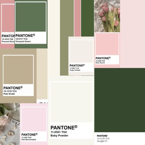 pink and green and cream color palette mood board for coquette cottage-core fairycore it girl clean girl old money aesthetic era flowers outfits Pink And Green Coquette, Lana Del Rey Flowers, Coquette Color Palette, Old Money Color Palette, Money Moodboard, Flowers Fairycore, It Girl Era, Coquette Old Money, Coquette Cottage Core