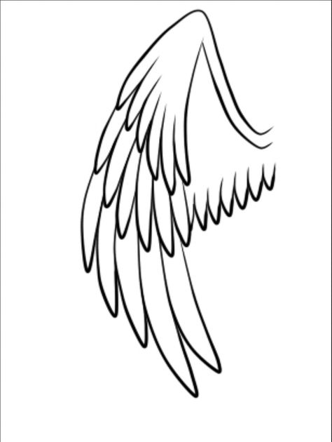 Folded Wings Tattoo, Folded Wings Drawing, Angel Wing Drawing, Angel Wings Folded, Human Wings, Cartoon Wings, Simple Wings, Wings Sketch, Angel Wings Drawing