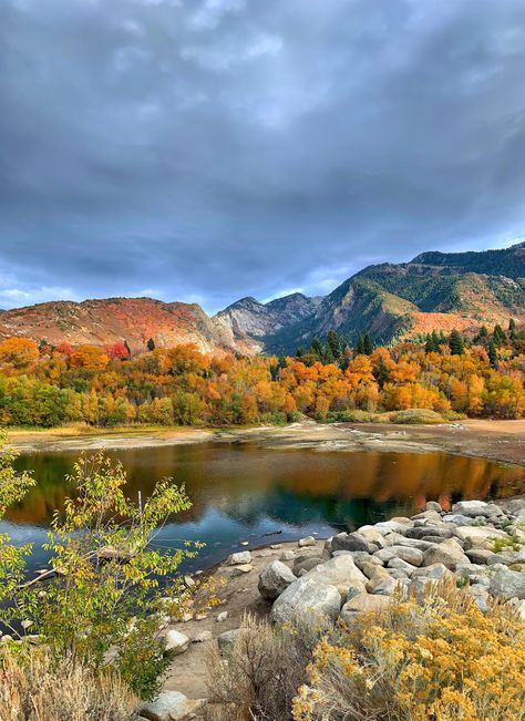 Fall colors in Bells Canyon Salt Lake City UT USA- ThorGift.com - If you like it please buy some from ThorGift.com Wyoming In Fall, Salt Lake City Aesthetic, Salt Lake City Utah Aesthetic, 80s Mercedes, Salt Lake City Photography, Pjo Books, Alta Utah, Utah Fall, Travel Utah