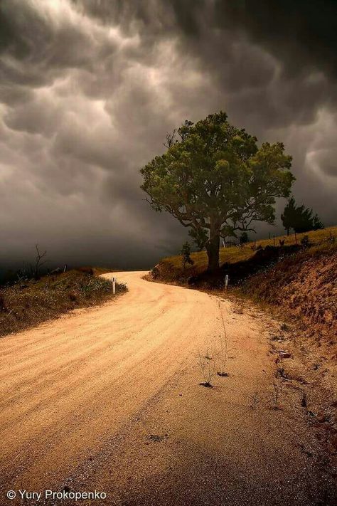 Clouds In The Sky, Beautiful Roads, Country Roads Take Me Home, Lone Tree, Dark Clouds, Country Landscaping, Dirt Road, Back Road, Country Road