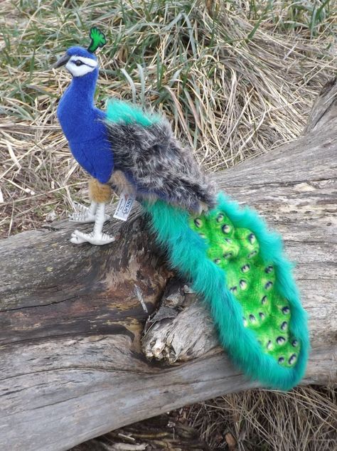 Baby Peacock, Bird Stuffed Animal, Peacock Baby, Peacock Decor, Felt Garland, Cute Stuffed Animals, Needle Felted Animals, New Dolls, Bird Toys