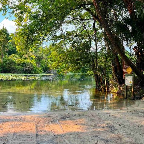 Everything You Need to Know For a Fun Visit at Wekiwa Springs State Park – Walk and Paddle Wekiwa Springs State Park, Hiking In Florida, Park Walk, Florida Fish, Picnic Spot, Concession Stand, Nature Center, Wildlife Conservation, Boat Tours