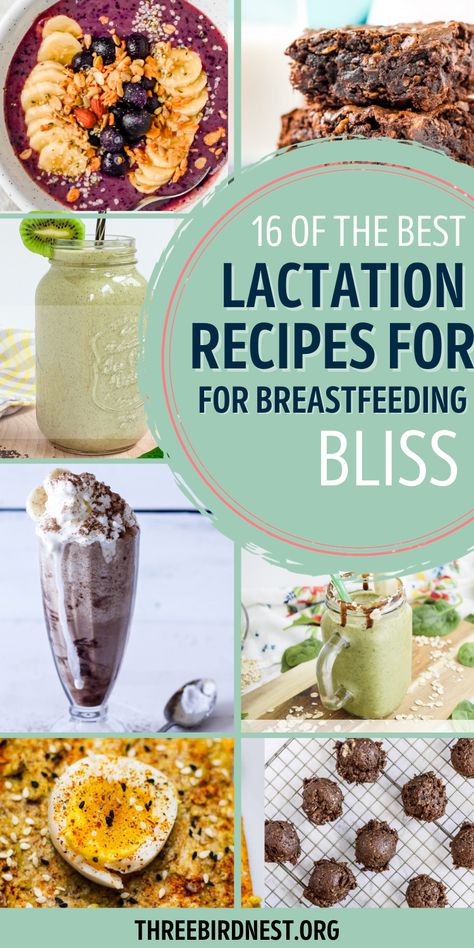 Lactation Recipes Easy, Lactation Bites, Lactation Smoothies, Breastfeeding Snacks, Lactation Smoothie, Boost Milk Supply, Increase Breastmilk, Breastfeeding Benefits, Low Milk Supply