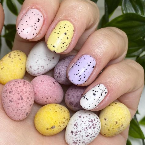 Nails & Beauty - Hillingdon on Instagram: “I just love Cadbury’s Mini Eggs 💗💜 Prep - @navyprotools Prep - @lilly.beau Peely Base - Halotaco Colour - @the_gelbottle_inc Oil -…” Egg Nails, Cadbury Eggs, Mini Egg, Mini Eggs, Swag Nails, Spring Nails, Pretty Nails, Nail Inspo, Just Love