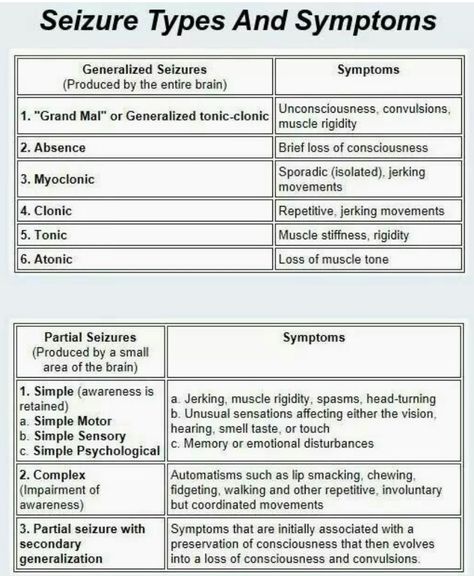 Types of seizures Seizures Nursing, Types Of Seizures, Nursing School Essential, Nursing Exam, Nurse Study Notes, Mental Health Facts, Nurse Office, Medical School Studying, Nursing School Notes