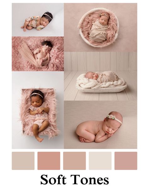 Newborn Color Schemes, Newborn Photo Color Schemes, Newborn Photography Color Palette, Kingston Ontario, Color Schemes Colour Palettes, Newborn Shoot, Newborn Portrait, Colour Inspiration, Nursery Colors