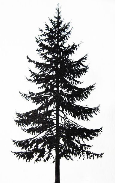 Norway spruce Evergreen Tree Tattoo, Inspire Tattoo, Tree Silhouette Tattoo, Pine Tattoo, Tree Sleeve Tattoo, Tree Tattoo Arm, Pine Tree Drawing, Tattoo Tree, Pine Tree Silhouette