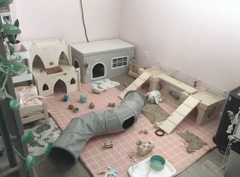 Rabbit Cage Setup Ideas, Rabbit Playground Indoor, Rabbit Set Up, Aesthetic Bunny Cage, Bunny Cage Ideas Indoor, Indoor Bunny Setup, Rabbit Setup, Bunny Enclosure, Bunny Setup