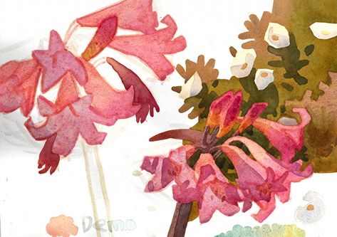 Carolyn Lord, Kathe Fraga, Artist Vibes, Tree Study, Botanical Drawing, Art Articles, Flower Silhouette, Watercolor Sketchbook, Botanical Drawings