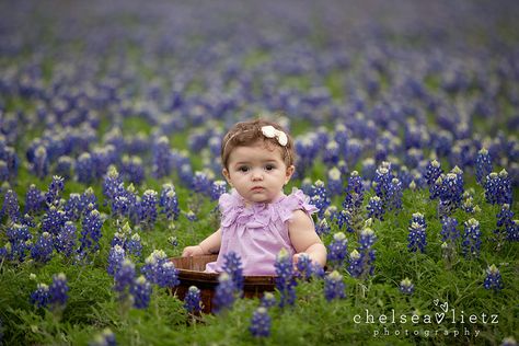 Baby Bluebonnet Pictures, Bluebonnet Photoshoot, Bluebonnet Photos, Toddler Fever, Wildflower Photography, Wildflowers Photography, Picture Background, Blue Bonnet, 1st Birthday Photoshoot