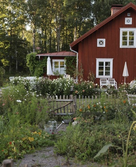 Swedish Red Cottage, Swedish Style Home, Scandinavian Cottagecore, Swedish House Interior, Swedish Farmhouse Style, Swedish Cabin, Swedish Summer House, Swedish Countryside, Swedish Houses