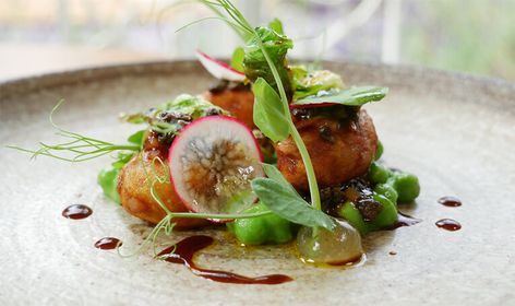 The Best Restaurants in the UK for Vegan Fine Dining | PETA UK Vegan Fine Dining, Fine Dining Starters, Fine Dining Plating, Vegetarian Starters, Star Snacks, Vegan Main Course, Vegan Starters, Gourmet Food Plating, Vegetarian Main Course