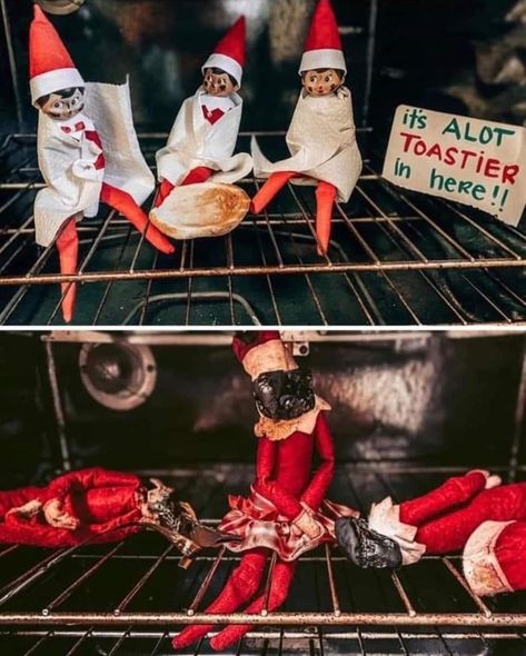 Toasty Elf On The Shelf, Bad Elf On The Shelf, Laughing Images, Elf Images, The Good Lie, Katie Wright, Zombie Christmas, Bad Elf, Dance Images