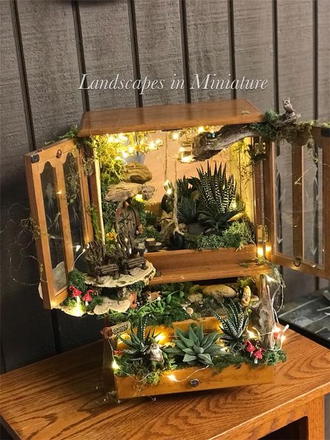 Jewelry Box Succulent Garden Jewelry Box Fairy House, Small Garden Spaces, Fairy Garden Box, Tiny Gardens, Evening Garden, Gathering Ideas, Box Makeover, Shade Gardening, Succulent Jewelry