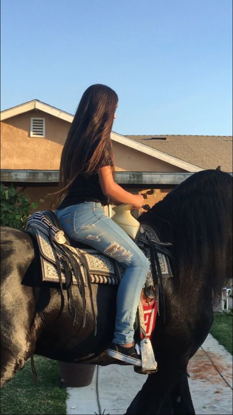 Horse back riding🐎 Horse Riding Bare Back, Bitless Horse Riding, Water Horseback Riding, Horseback Riding In Water, Hourse Ride Girl, Horse Wallpaper, Horseback Riding, Horse Riding, Horses