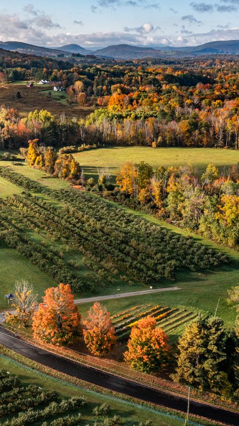 Shelburne Falls Massachusetts, Berkshires Massachusetts, Western Massachusetts, The Berkshires, Art Galleries, Ny Times, Image Types, The New York Times, Massachusetts