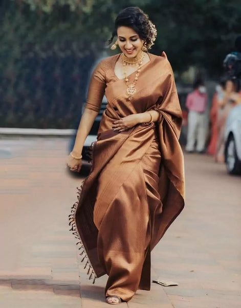 Brown Kanjivaram Saree, Brown Saree Look, Dark Brown Saree, Brown Silk Saree, New Suit Design, Latest Saree Blouse, Lichi Silk Saree, Fashionable Saree, Kanjivaram Sarees Silk