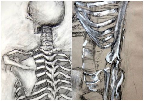 A Creative Way to Teach Your Students the Art of Anatomy - The Art of Education University Drawing Lessons High School, Art Student Outfit, Art School Aesthetic, Learning Anatomy, Art Student Aesthetic, Skeleton Drawing, Art Anatomy, Anatomy Bones, High School Art Projects