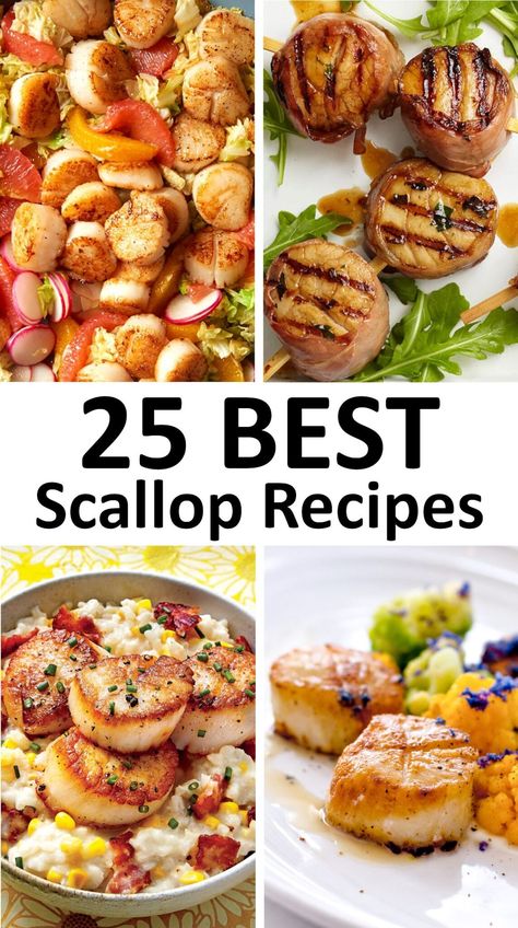 The 25 BEST Scallop Recipes - GypsyPlate Scallop And Shrimp Pasta, Simple Seafood Recipes, Seafood Recipes For Dinner, Best Scallop Recipe, Shrimp And Scallop Recipes, Seafood Boil Recipe, Scallop Appetizer, Seafood Chowder Recipe, Simple Food Recipes