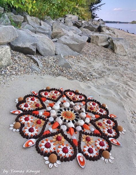 Natural Mandala, Earth Altar, Nature Mandalas, Nature Mandala, Altar Ideas, Magia Das Ervas, Kids Art Class, Healing Space, Flower Circle