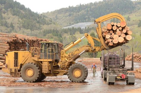 Mill Ops. A large wheeled front end log loader unloading a log truck at a log ya #Sponsored , #paid, #sponsored, #large, #Mill, #front, #wheeled Log Truck, Logging Equipment, Forestry Equipment, Truck Cranes, Big Tree, A Log, Construction Equipment, Front End, Heavy Equipment