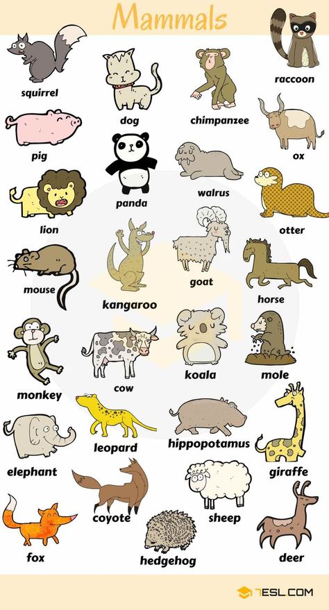 English Vocabulary: Learn Animal Names Animals Name In English, Tatabahasa Inggeris, Materi Bahasa Inggris, Animal Names, Learning English For Kids, English Vocab, Kids English, List Of Animals, English Language Teaching