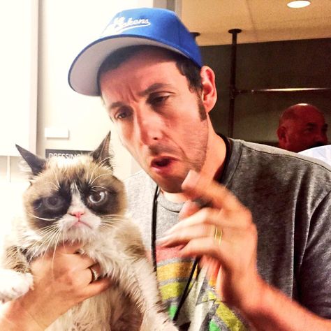 Adam Sandler Memes, Sandy Mandy, Finally Getting Married, Adam Sandler, Tom Hardy, Grumpy Cat, Saturday Night Live, Fav Celebs, Man Crush