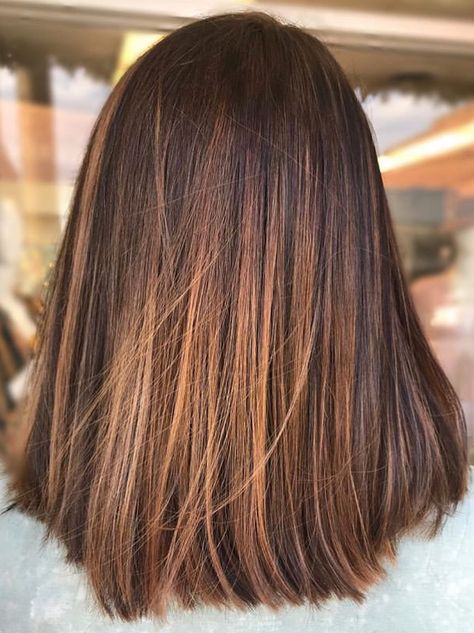 Brunette Mid Length Hair Straight, Brunette Mid Length Hair, Rose Byrne Hair, Brown Bayalage Hair, Light Brown Ombre Hair, Mid Length Straight Hair, Straight Bob Hairstyles, Brown Hair Shades, Brown Ombre Hair