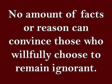 No amount of facts or reason can convince those who willfully choose to remain ignorant. You Can Lead A Horse To Water Quote, Water Quotes, So Me, Random Facts, Toxic People, Parenting Advice, A Horse, Great Quotes, Thought Provoking