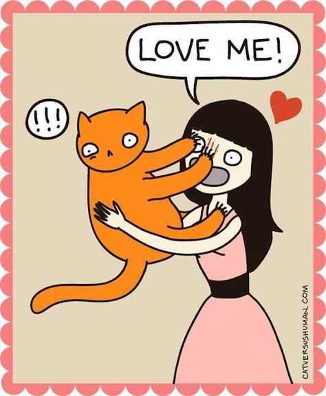 comic 7 Cat Vs Human, Cat Vs Dog, Living With Cats, Cat Comics, Cat People, Cat Boarding, Cat Person, Grumpy Cat, Cats Meow