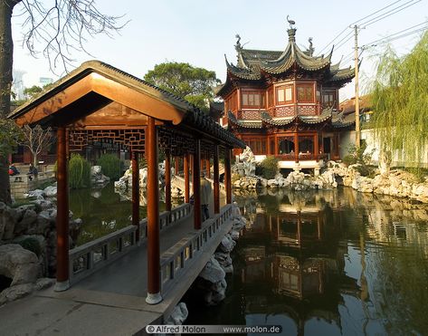 Ancient temples and houses are scattered everywhere but where most of the town used to be had become camp for these cats. Description from warriorcatsrpg.com. I searched for this on bing.com/images House On Pond, Traditional Asian House, Ancient Chinese House, Chinese House Design, Asian House Design, Traditional Chinese House, Chinese Buildings, China House, Chinese Courtyard