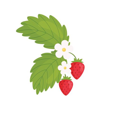 Strawberry Branch, Branch Vector, Bubbles Wallpaper, Premium Vector, Ramen, Graphic Resources, Vector Illustration, Blossom, Bubbles