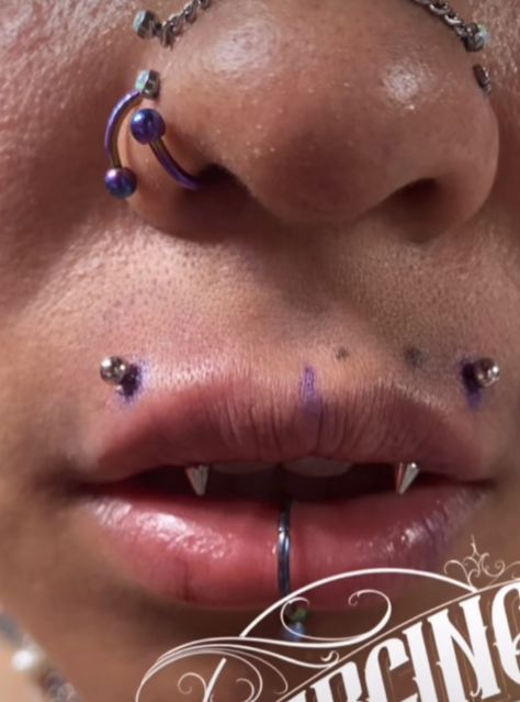 Vertical Angel Bites Piercing, Angle Fangs Piercings, Vertical Angel Bites, Cool Piercings Unique, Angel Bites Piercing Fangs, Piercings Aesthetic Face, Unique Piercings Face, Fang Piercing, Angel Fangs Piercing