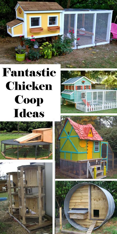 Reban Ayam, Chicken Coop Ideas, Urban Chicken Farming, Cute Chicken Coops, Portable Chicken Coop, Backyard Chicken Coop Plans, Diy Chicken Coop Plans, Urban Chickens, Backyard Chicken Farming