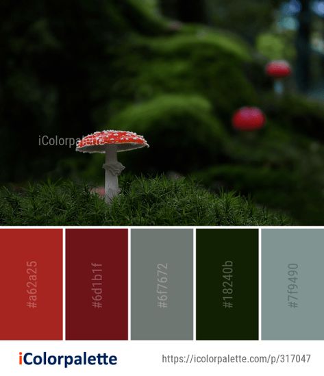 Color Palette Ideas from Red Nature Green Image Oxblood Color Palette, Photography Mushroom, Mushroom Nature, How To Make Red, Mountain Aesthetic, Red Nature, Color Palette Ideas, Black Color Palette, Cool Color Palette