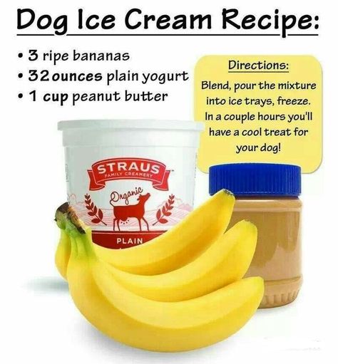 Dog Ice Cream Recipe, Lou Dog, Dog Ice Cream, Healthy Dog Treats Homemade, Fu Dog, Dog Treats Homemade Recipes, Food Dog, Diy Dog Treats, Puppy Treats