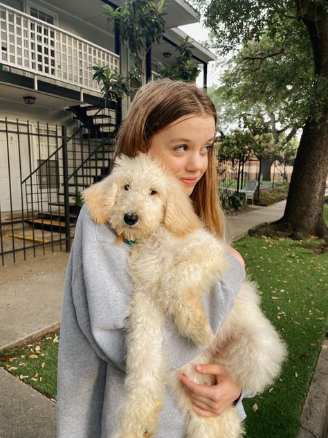 Madi Welch | puppy dog poodle doodle labradoodle goldendoodle sheepadoodle puppy toys girl dog dog owner collar bandana accessories Dog Dog, Poodle Doodle, Sheepadoodle Puppy, Labradoodle Goldendoodle, Puppy Toys, Dog Poodle, Girl Dog, Toy Puppies, Girl And Dog