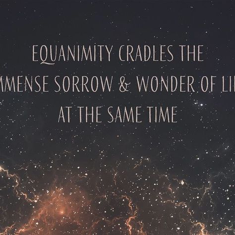 Sharon Salzberg on Instagram: "Equanimity cradles the immense sorrow and wonder of life at the same time." Sharon Salzberg, Brain Food, Good Reads, Brain, Meditation, Wonder, Reading, On Instagram, Instagram