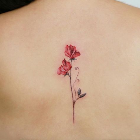 Red sweet pea. Sweetpea Flower Tattoo, Sweat Pea Tattoo, Pea Flower Tattoo, Sweet Pea Flower Tattoo, Pea Tattoo, Sweet Pea Tattoo, Red Flower Tattoos, Sweet Pea Flower, Hebrew Tattoo