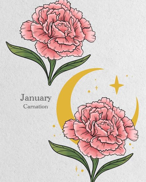 Carnation Doodle, Carnations Drawing, Thistle Drawing, Carnation Drawing, Carnations Flower, Flower Drawings, Crazy Facts, Pink Carnations, Carnation Flower