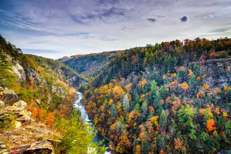 13 great day trips for fall foliage near Atlanta Places In Georgia, Cheap Weekend Getaways, Tallulah Gorge, 7 Natural Wonders, Hiking In Georgia, Georgia State Parks, Gorges State Park, North Georgia Mountains, Georgia Travel