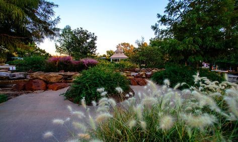 Discover DFW’s Perfect Playground — Southlake, Texas! Southlake Texas, Liberty Garden, Perfect Summer Day, Background Pics, Texas Photo, Live Oak Trees, Nature Center, Short Trip, Outdoor Art