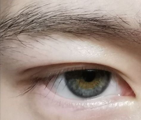 Serin Eyes Aesthetic, Different Eye Shapes Reference, Male Eye Shapes, Realism References, Chinese Eyes, Fantasy Jewelry Magic, Types Of Eyes, Male Eyes, Asian Eyes