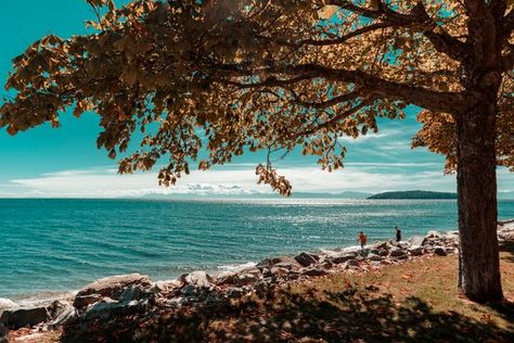 Sechelt, Sunshine Coast. BC. Sunshine Coast Bc, Natures Sunshine, Breathtaking Nature, Travel Canada, Nikon D750, Nature Photographs, Sunshine Coast, Canada Travel, British Columbia